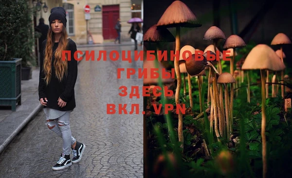 дурь Аркадак