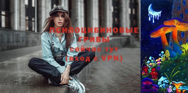 прущий лед Армянск
