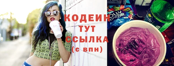 шишки Михайлов