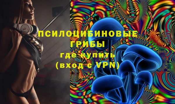дурь Аркадак