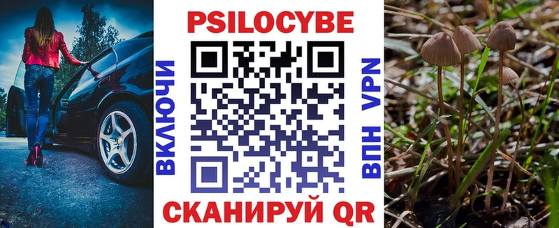 даркнет как зайти  Минеральные Воды  Псилоцибиновые грибы ЛСД  продажа наркотиков 